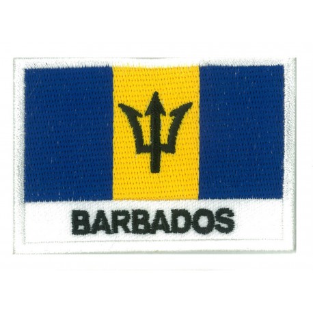 Parche bandera